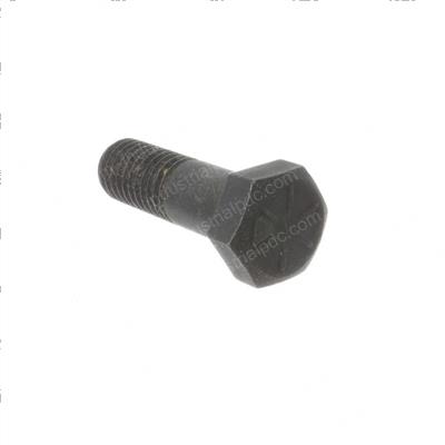 Picture of Bolt