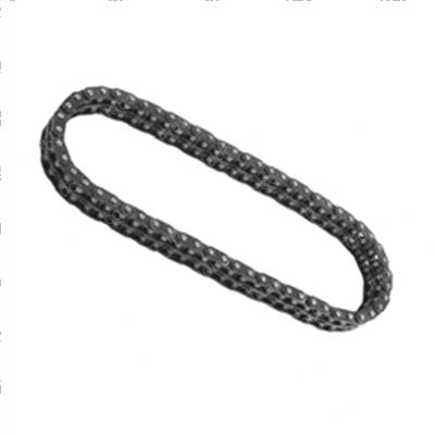 Picture of Chain - Timing