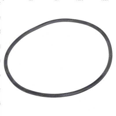 Picture of O Ring