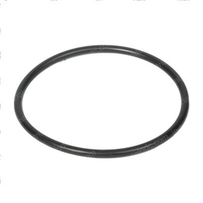Picture of O-Ring