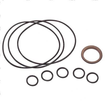 Picture of Seal Kit -  Orbitrol