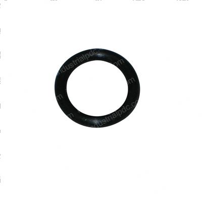 Picture of O-Ring