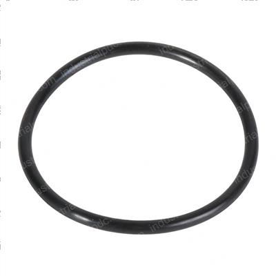 Picture of O-Ring