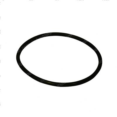 Picture of O-Ring