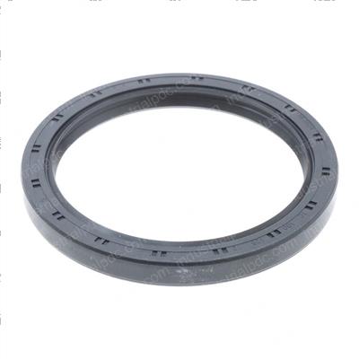 Picture of Seal - General