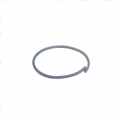 Picture of Ring - Backup