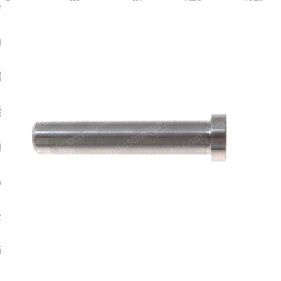 Picture of Pin - Chain Anchor