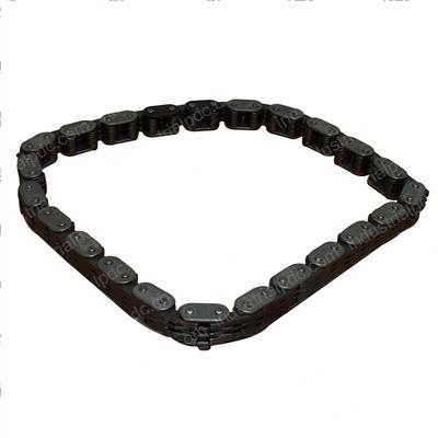 Picture of Chain Assembly - Timing