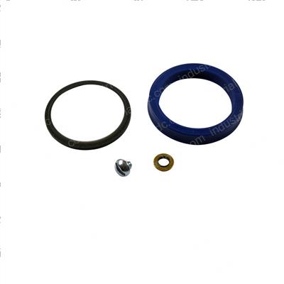 Picture of Seal Kit - Hydraulic Cylinder