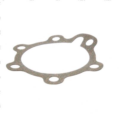 Picture of Gasket