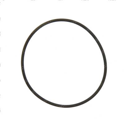 Picture of O-Ring