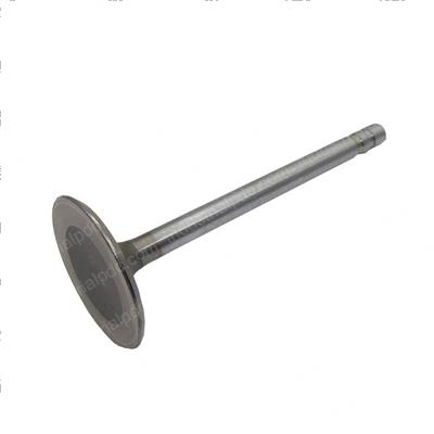 Picture of Valve-Inl .003