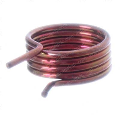 Picture of Spring - Torsion