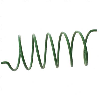 Picture of Spring- D