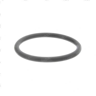 Picture of O-Ring
