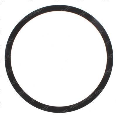 Picture of Gasket