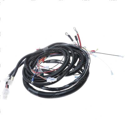 Picture of Main Harness. Gas