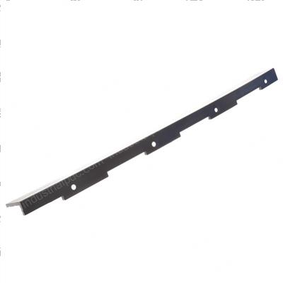 Picture of Slide