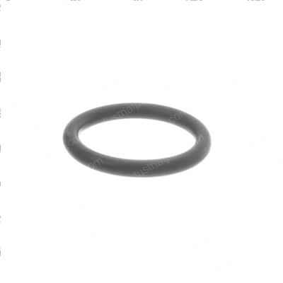 Picture of O-Ring