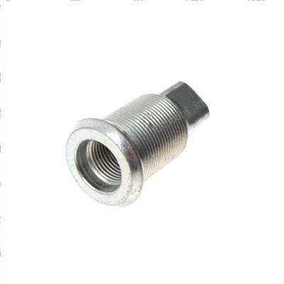 Picture of Nut