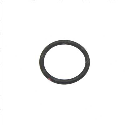 Picture of O-Ring