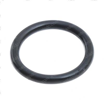 Picture of O-Ring