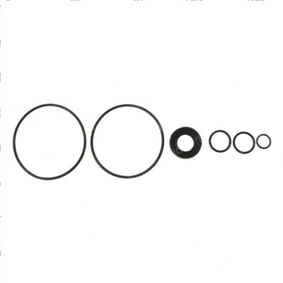 Picture of Bendi Vane Pwr Str Pump Kit