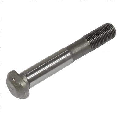 Picture of Bolt