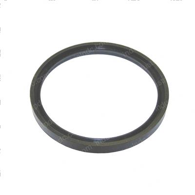 Picture of Seal