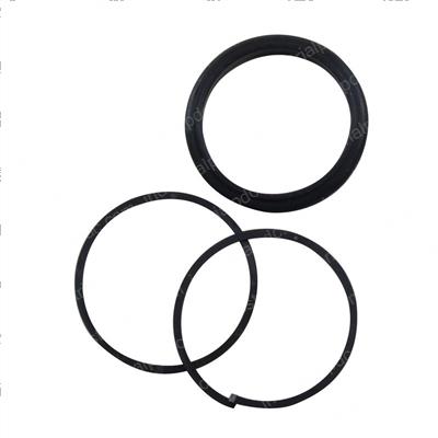 Picture of Seal - Oil