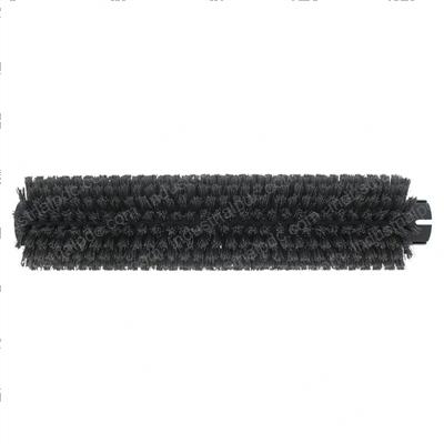Picture of Brush -  Scrub -  15l -  06sr