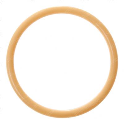 Picture of O-Ring