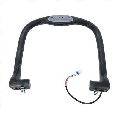 Picture of Grab Rail Assembly