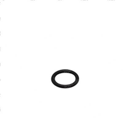 Picture of O-Ring