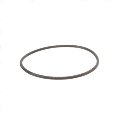 Picture of O-Ring