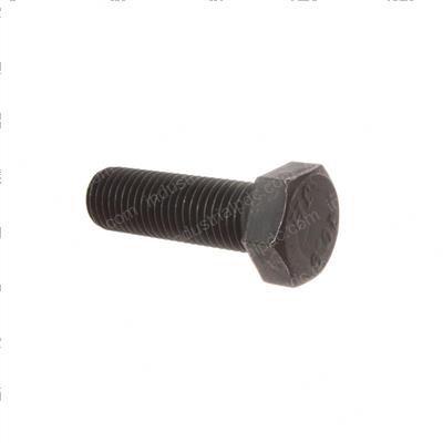 Picture of Bolt