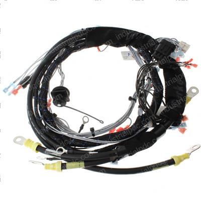 Picture of Main Harness Assembly