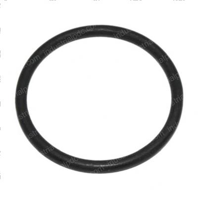 Picture of O-Ring