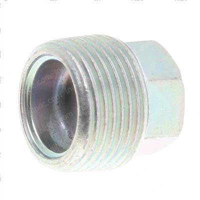 Picture of Plug