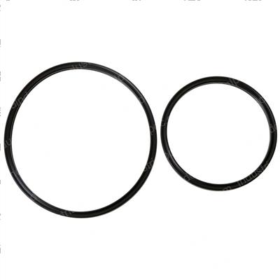 Picture of Seal Kit- Auburn Brake Piston
