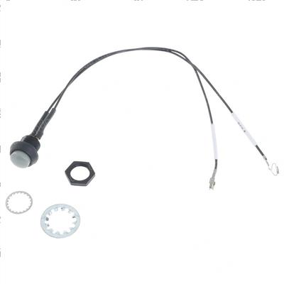 Picture of Switch Assembly