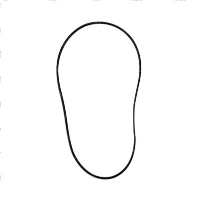 Picture of O-Ring