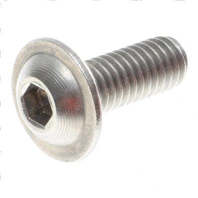 Picture of Screw