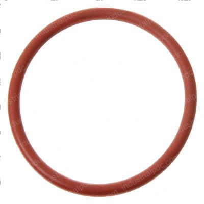Picture of O-Ring