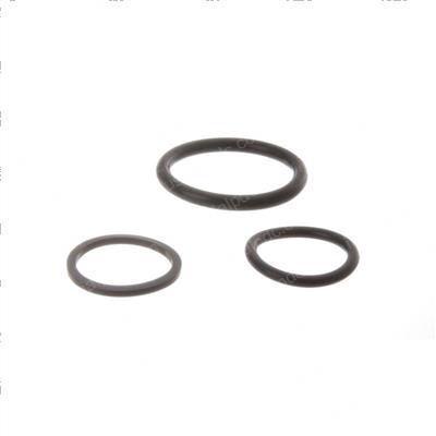 Picture of Seal Kit - Hydraulic Cylinder