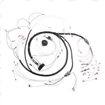 Picture of Harness-Gs30/2632/Aus32