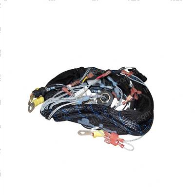 Picture of Harness - Main