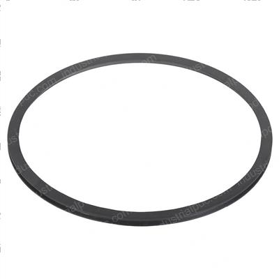 Picture of Seal