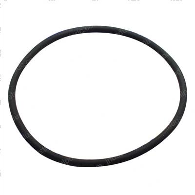 Picture of O-Ring