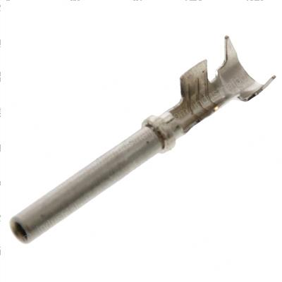 Picture of Contact Femalle